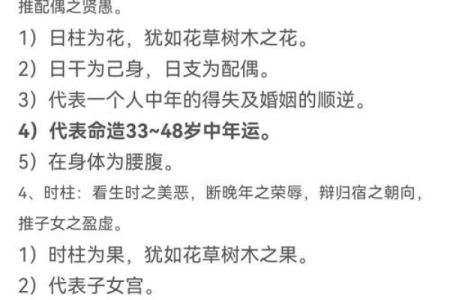 1960年命卦解析：深藏智慧与启示的古老艺术