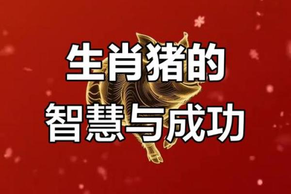 61岁属猪人的命理分析与人生方向探讨