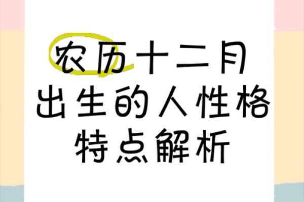 65年12月出生的人命运分析：独特人生轨迹与性格特征