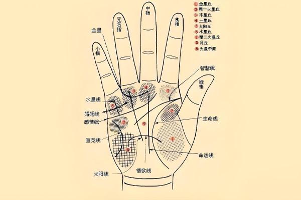 手指九个簸箕，揭秘命运之路的生辰密码