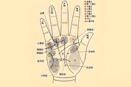 手指九个簸箕，揭秘命运之路的生辰密码