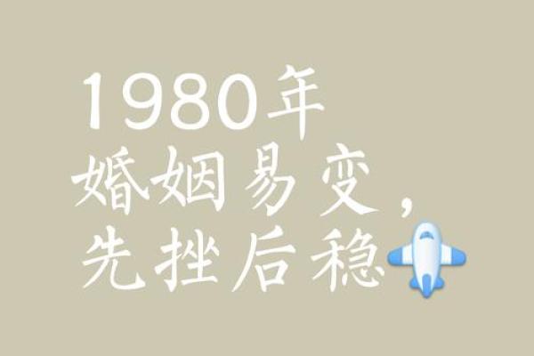 失去老公后的命运转折：从悲痛到重生的心路历程