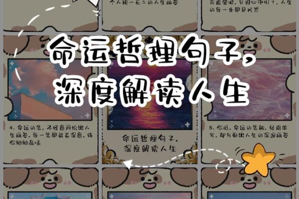 1962年命理解析：猴年出生者的奇妙人生与命运