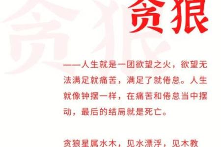 贪狼命格：适合什么行业的深度解析与职业规划建议