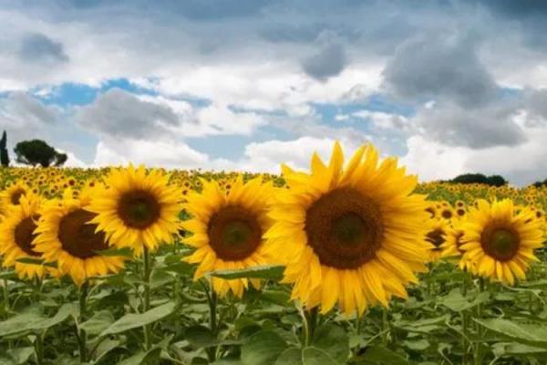 水命人适合的颜色：打造属于你的迷人气质