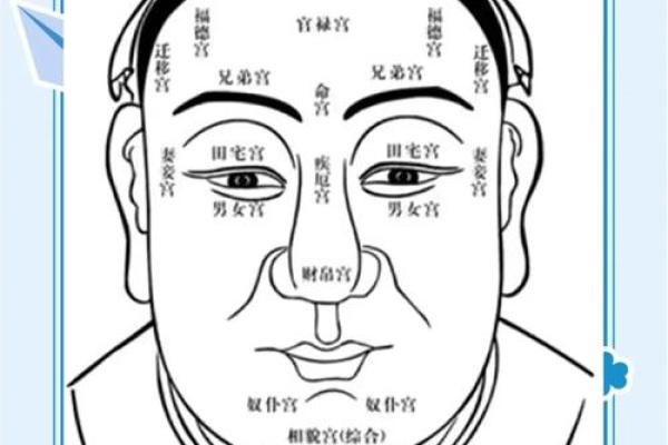 女人看鼻子：命运与面相之谜探讨