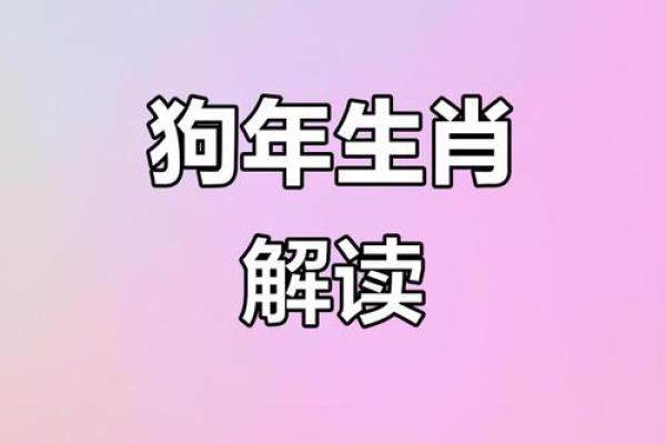 属狗正月12出生的人命运解析：忠诚与智慧的结合