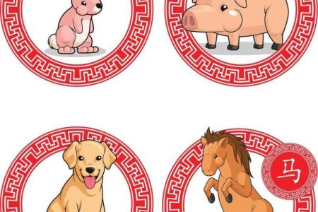 属狗正月12出生的人命运解析：忠诚与智慧的结合