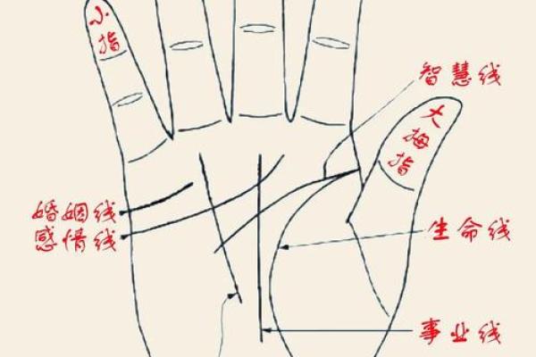 手上没有月牙，命运的秘密与人生的启示