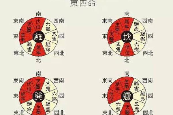 探究东四命与西四命的奥秘，解读命理与人生的智慧！