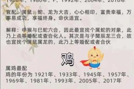 80后属相与命理：探寻人生轨迹与潜在可能性