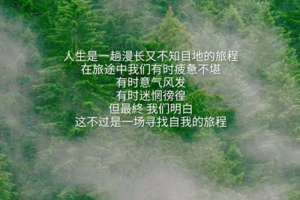 认识86年女孩：命运的星轨与成长的旅程