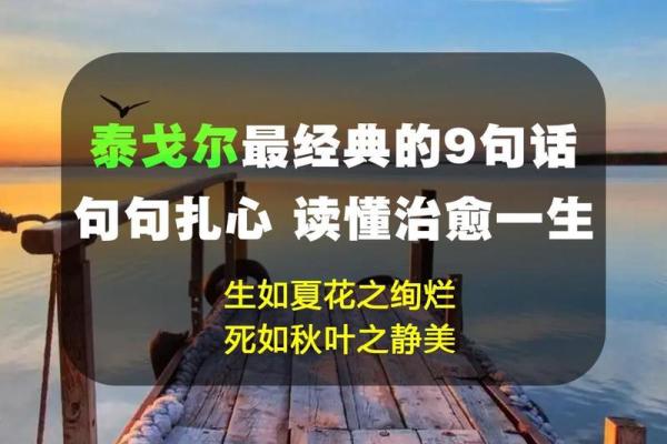 生如夏花绚烂，命如秋叶静美——探寻生命的意义与价值