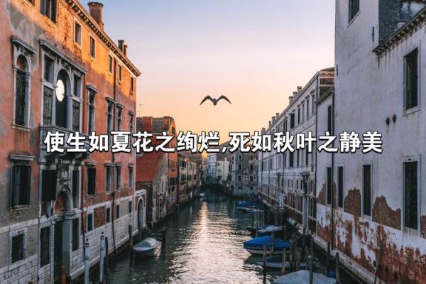 生如夏花绚烂，命如秋叶静美——探寻生命的意义与价值