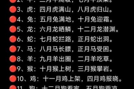 13岁属什么生肖与命运解析：解读孩子的未来与潜力！