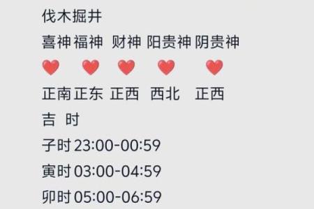 属相运势解析：生肖命理引领你走向光明未来