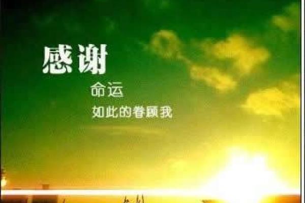 算卦先生的命格解析：揭示隐藏在命运背后的智慧与力量