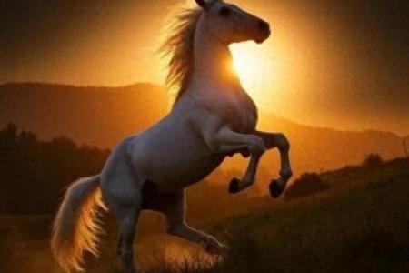 生肖马命适合的宝石，财富与运势双丰收！