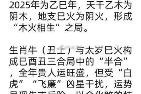 属牛金命的人适合的颜色与风水搭配指南
