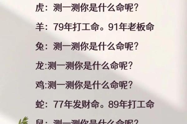 79年腊月出生的人命运与性格解析：揭秘你的命！
