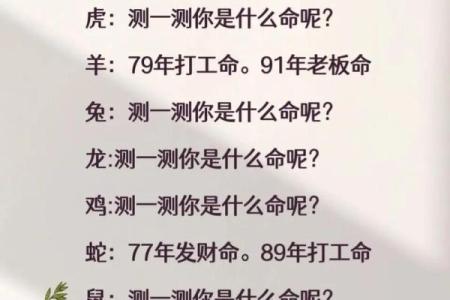 79年腊月出生的人命运与性格解析：揭秘你的命！
