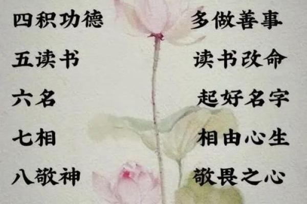 农历1988年属什么命?探讨命理与人生智慧 农历1988年属什么命?探讨命理与人生智慧