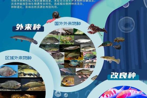 水生灵命的世界：探索水下生物的乐趣与适配游戏推荐