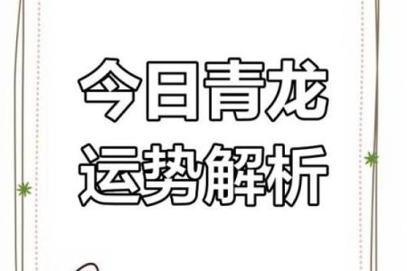 青龙之命：探寻命理与运势的神秘之道