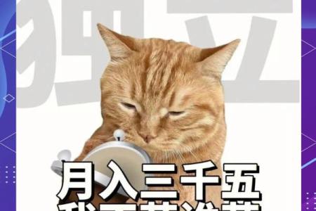 探究：为何有些人的命注定劳碌，苦恼不已？