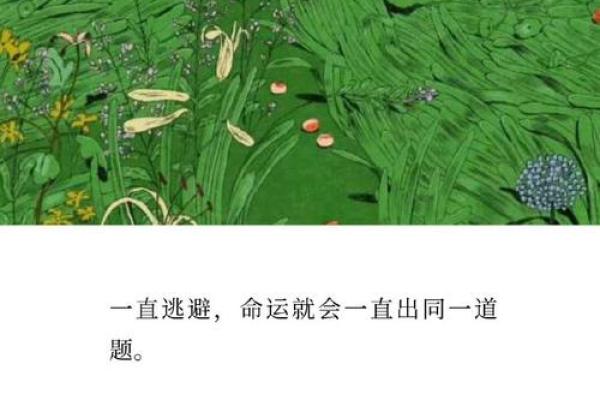 逆天改命：当命运与选择交织，如何找到属于自己的道路