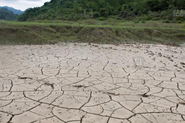 缺水命：如何在干旱中找到生活的新方向