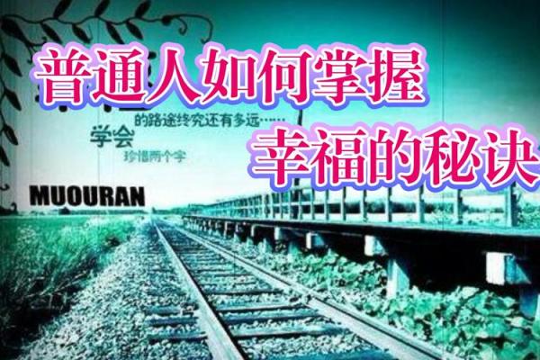 2017年鸡年运势解析:从命理看你的生活运程与幸福秘诀 2017年鸡年运势解析:从命理看你的生活运程与幸福秘诀