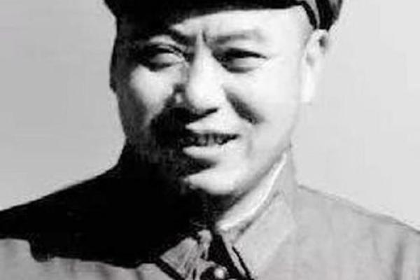 将军命:成就与挑战的传奇人生之旅 将军命:成就与挑战的传奇人生之旅