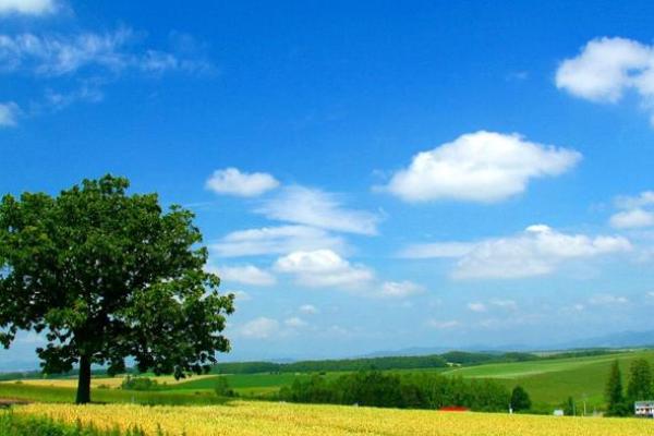 一线希望:探索人生的光明与希望的旅程 一线希望:探索人生的光明与希望的旅程