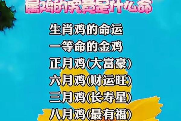 1981年的命运之探:属鸡的人生旅程与性格解码 1981年的命运之探:属鸡的人生旅程与性格解码
