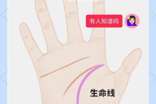 探索命理学:揭示生命奥秘与实现自我价值的必由之路 探索命理学:揭示生命奥秘与实现自我价值的必由之路