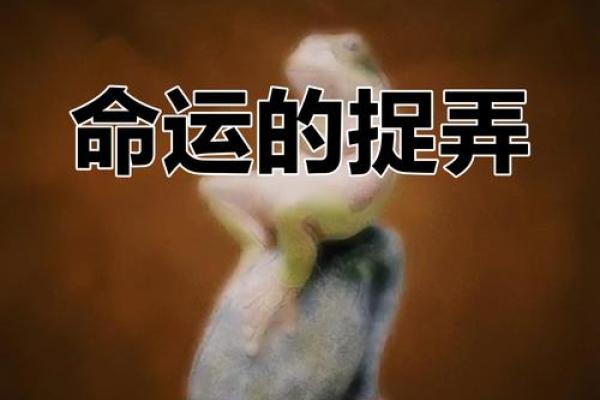 命硬的人是否命运注定?探寻背后的真相与影响 命硬的人是否命运注定?探寻背后的真相与影响