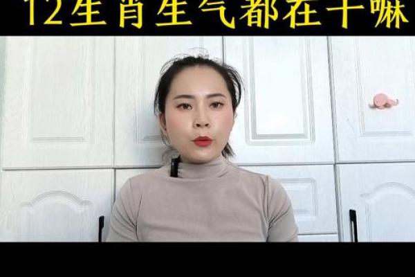 命理与生气:揭示与生肖的密切关系 命理与生气:揭示与生肖的密切关系