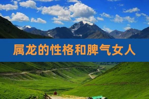 1988年属鸡的命运解析:性格、事业与爱情的多维探讨 1988年属鸡的命运解析:性格、事业与爱情的多维探讨