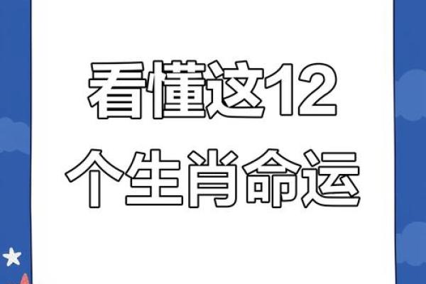 2019年兔年命理解析:了解你的生肖与人生机遇 2019年兔年命理解析:了解你的生肖与人生机遇