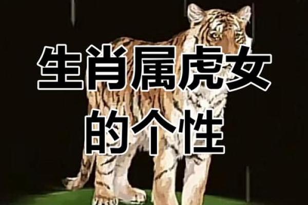 1963年虎年:解密属虎之人的命运与性格特征 1963年虎年:解密属虎之人的命运与性格特征