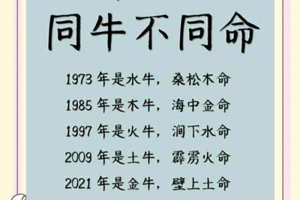 1997年出生的牛命解析:运势、性格与未来发展 1997年出生的牛命解析:运势、性格与未来发展
