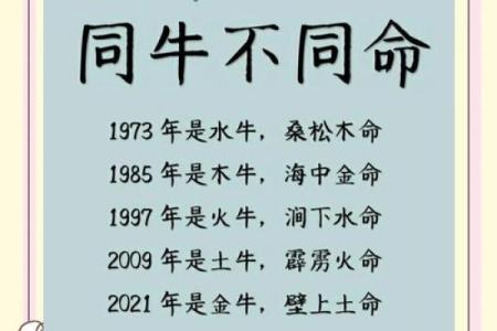 1997年出生的牛命解析：运势、性格与未来发展