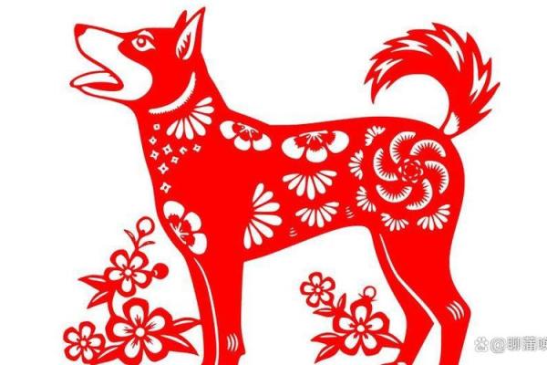 1995年属狗人的性格与命运探讨:揭开命猪的神秘面纱 1995年属狗人的性格与命运探讨:揭开命猪的神秘面纱