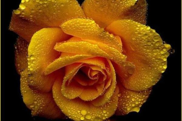 1992年出生的命配饰与生活的智慧 1992年出生的命配饰与生活的智慧