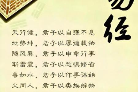 2002年出生的人命卦解析：了解你的命运与性格潜力