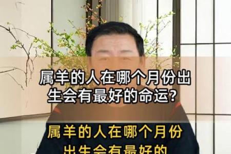 1995年属羊人的命运解析：温和与坚持的双重印记