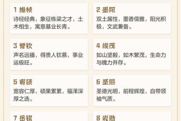 探索2020土上壁命:缺什么与如何弥补的深度解析 探索2020土上壁命:缺什么与如何弥补的深度解析