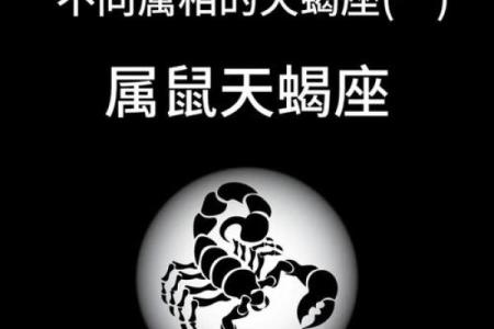 2004年生肖属什么命？探索鼠年人们的命运与性格特征