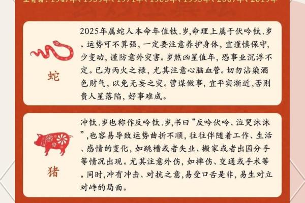 1972年腊月出生的人,命运与性格的深度解析 1972年腊月出生的人,命运与性格的深度解析